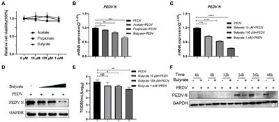 Butyrate limits the replication of porcine epidemic diarrhea virus in intestine epithelial cells by enhancing GPR43-mediated IFN-III production